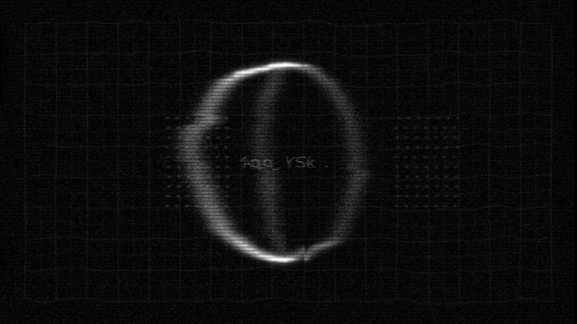 symbiose details 1